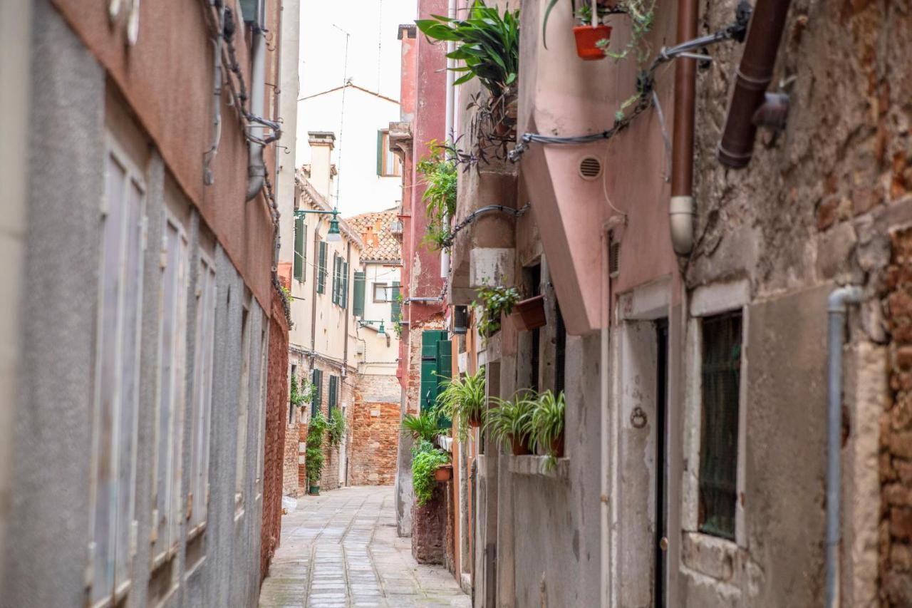 Ca' Gritti By Venicevillas Bagian luar foto